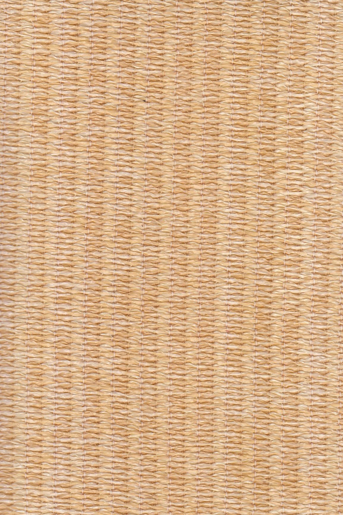 beige napvitorla
